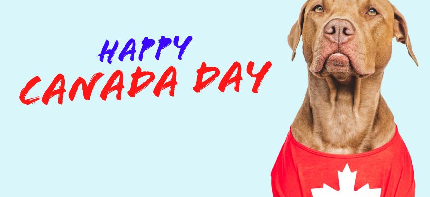 Open Canada Day 2025